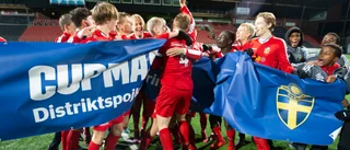 Bildspel: Spelarna som blev guldhjältar