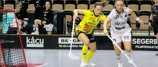 Pixbotränaren: "Vad som helst kan hända"