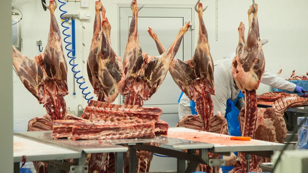 Arvidsjaur renslakt AB CWD-testar så mycket renar de hinner med under slakten. "Vi har haft två personer som bara jobbar med det", säger vd:n Roland Sandgren.