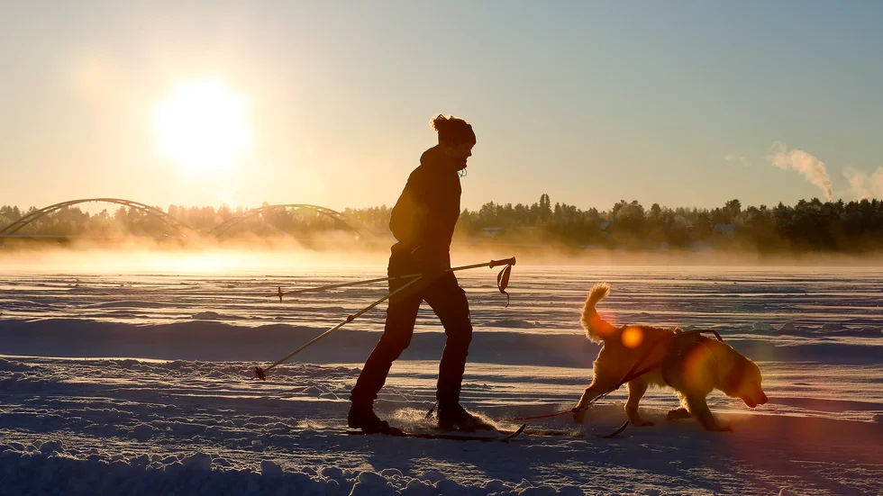Isbanan lämpar sig väl för hundpromenader.