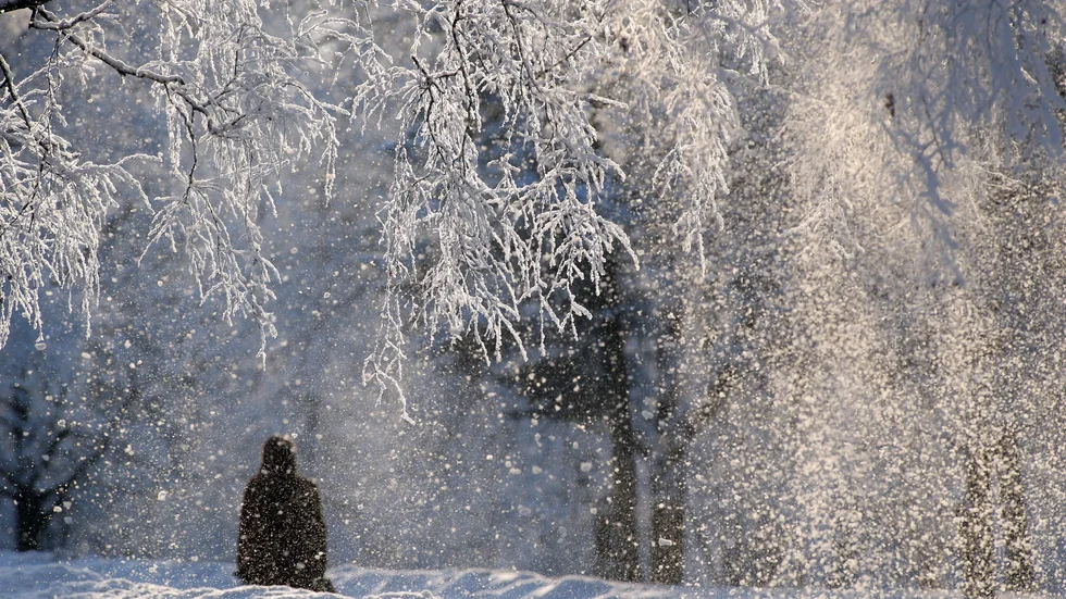 Skribenten vill att hela Ryggskatavägen i byn Sjulnäs ska plogas av kommunen. (Arkivbild)