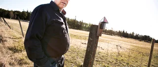 Kraftig ökning av ersättning för örnskador