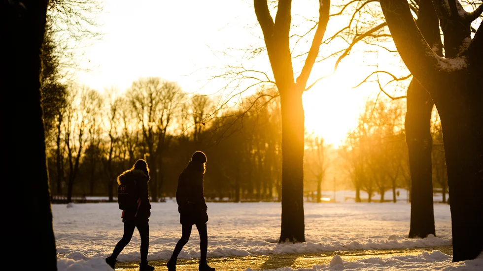 "Känner man sig nere så är en promenad den bästa medicinen", skriver insändarskribenten. (Arkivbild)