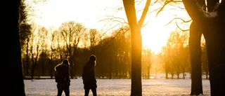 Promenader – bra sätt att motionera