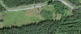 650 000 kronor för skog i Kalix