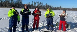  1 350 gram abborre gav seger i klubbmästerkapet 
