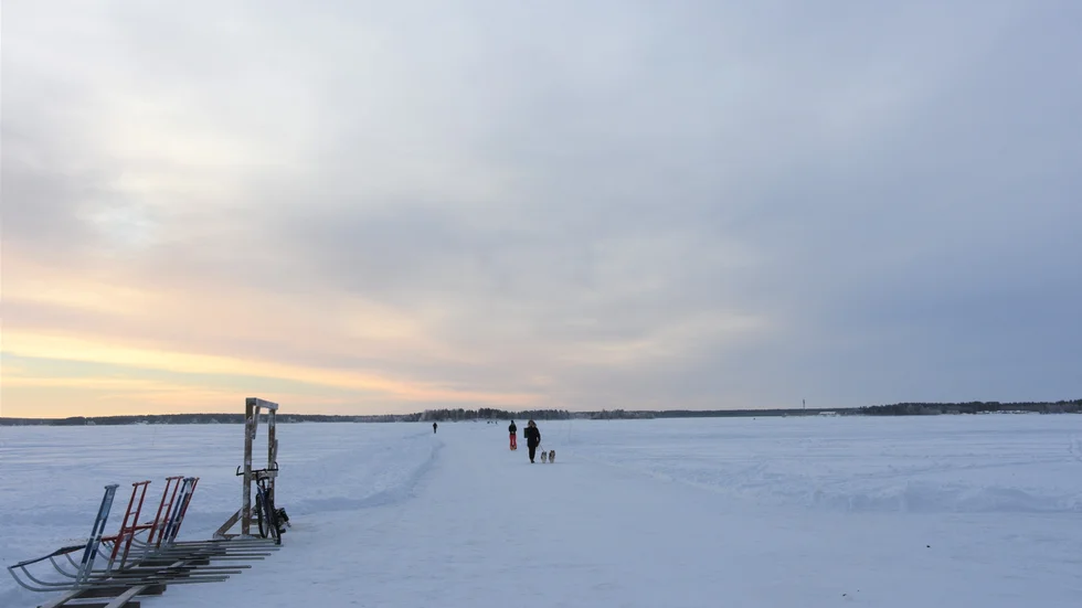 Flera tusen Luleåbor väntas promenera den 1 800 meter långa sträckan till Gråsjälören i helgen. "Viktigt att hålla avstånd" påminner Andreas Fagervall, ansvarig för isbanan. 