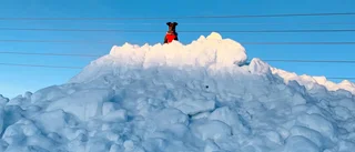 Läsarbilden                   