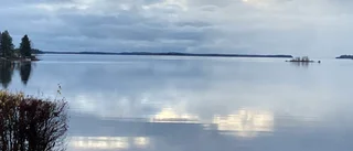 Läsarbild: Innan snön kom     