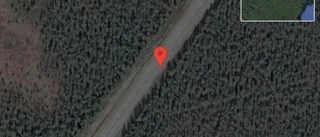 Fallna träd skapar problem i trafiken på E45