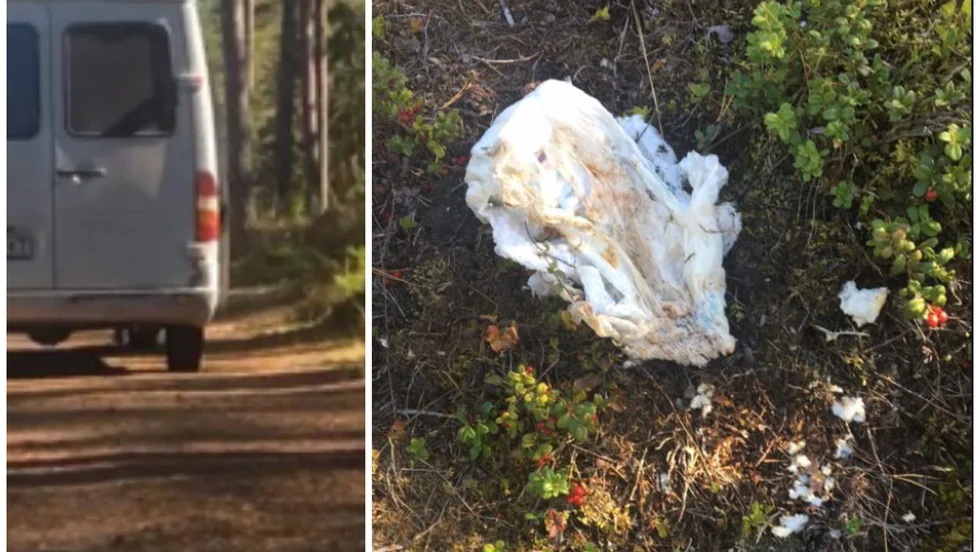 Hon har nyligen träffat på några utländska bärplockare vid motionsspåret i Älvboda. Några plockade bär medan andra satt i bilen. När hon försökte filma dem sprang de efter henne.