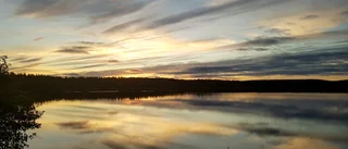 Läsarbilden                   
