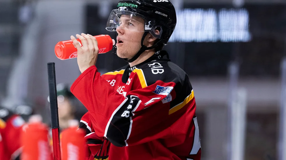 Filip Hållander, Luleå Hockey.