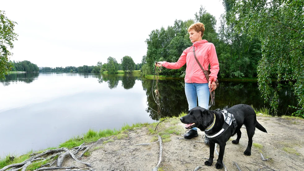 ”Det kan ha varit här jag föll i”, säger Eila och visar en tamp som hon kan ha dragit sig upp med. Hunden heter Tinka.