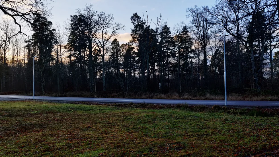 Här, i skogspartiet vid sidan om Solvändan, kommer det byggas nya hyresrätter. 