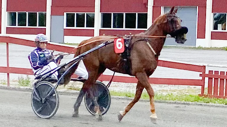 Nolimitjimmit och Micael Melander imponerade stort vid senaste segern på Umåker. Han blir förste vinnaren i V64-express på Skellefteåtravet, fredag kväll.