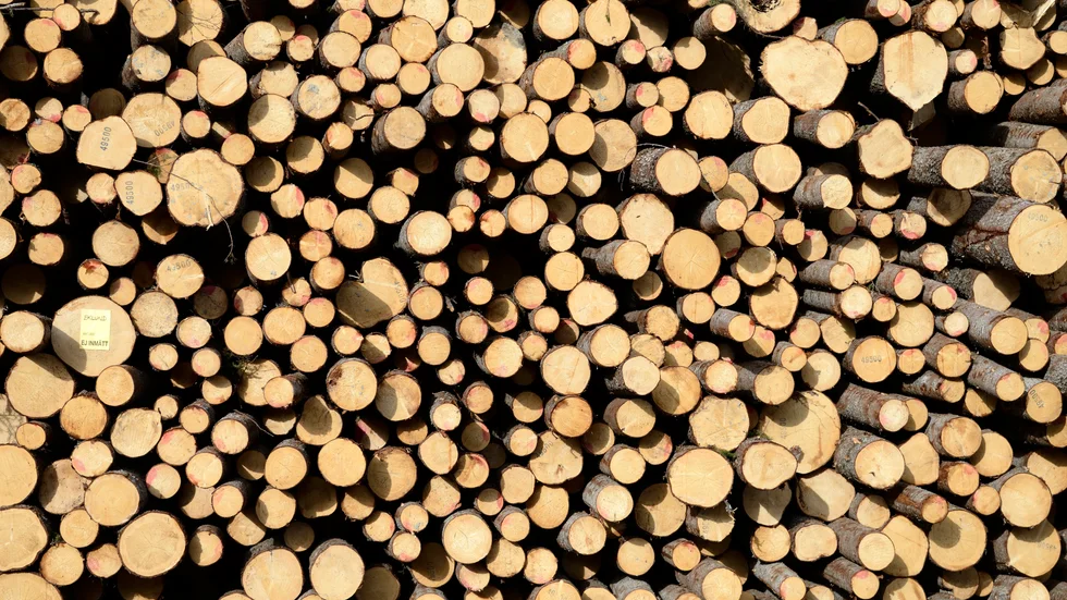 SCA ökar sitt innehav av skogsmark i Baltikum med ett köp av drygt 19|000 hektar mark i Lettland. Arkivbild.