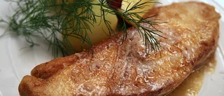 Hälleflundra med smör