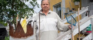 Hundar driver bostadsområde till vansinne