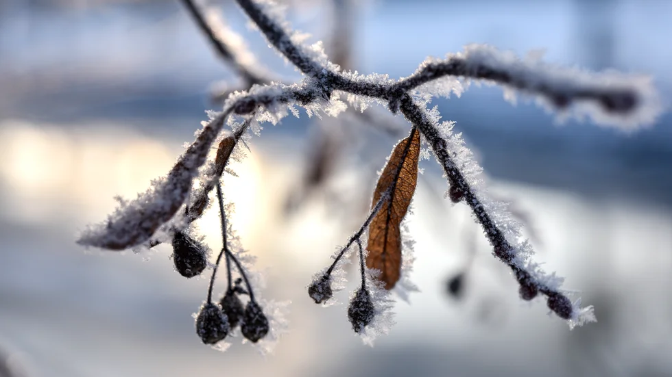Temperaturen i gryningen i Vimmerbys kommun låg på 18 minusgrader.