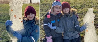 Alice och Isabel upptäckte mini-Sverige på isen