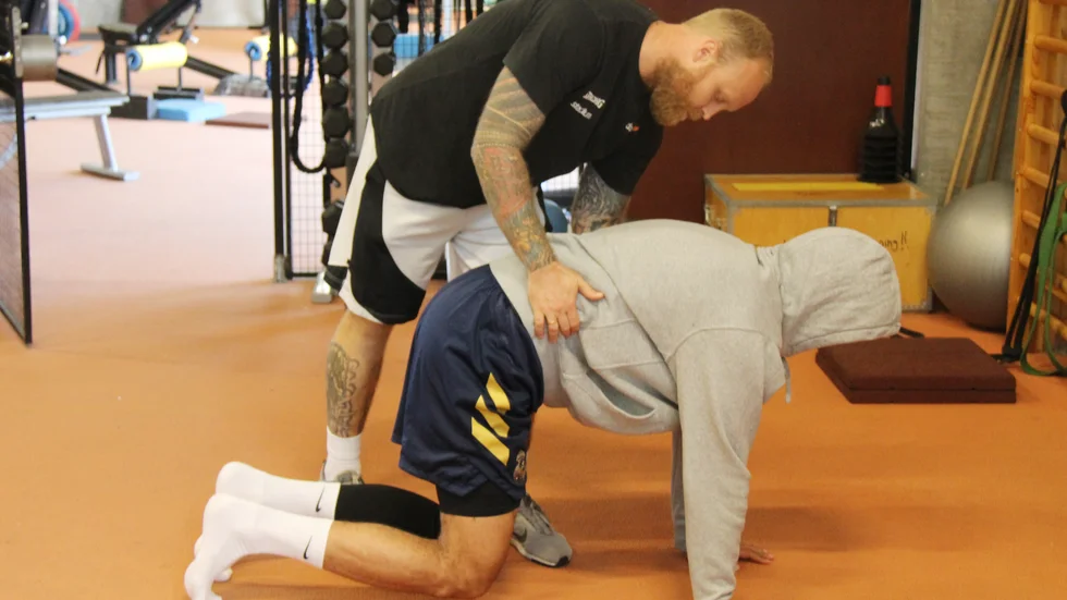 Mikael Stenbom, Dolphins fystränare.