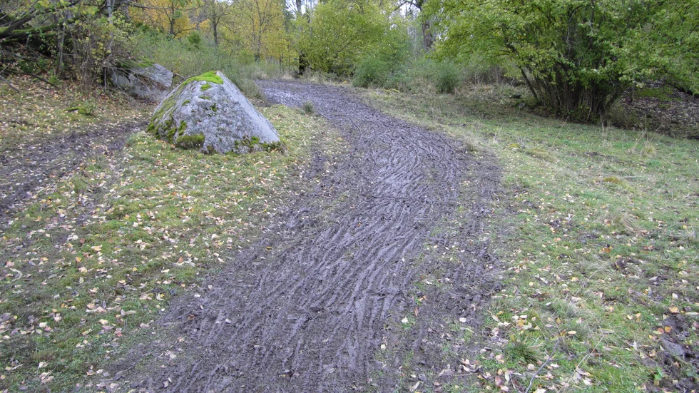 Cyklister behöver visa mer hänsyn när de cyklar i naturreservatet tycker förvaltaren Gustaf Olsson. 