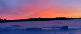 Bildextra: Farväl januari – välkommen februari!