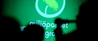 Miljöpartiet de gröna driver frågor för framtiden