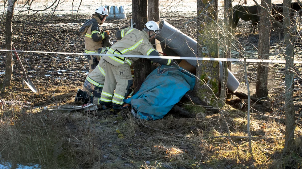 Räddningstjänsten ryckte ut till Pitholm där en häst hade fastnat mellan några träd, men hästens liv gick inte att rädda.