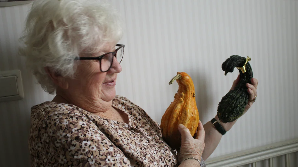 Två nya pumpor, som Harriette Thorstenson ska skapa något av efter ett års torktid.