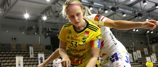 Endre kan slippa stjärnan i toppmötet