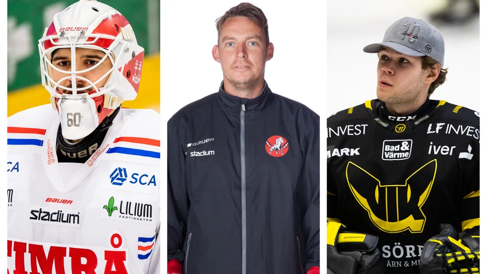 Bildar Adam Ohre, Fredrik Eriksson och Jesper Myrenberg Hästens "målvaktstrio" 2021/2022? Mycket talar för det.