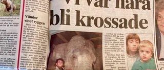 Fyraåring nära att krossas av elefant • Läsarbilder från klockan 11.11 den 11.11.11