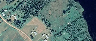 Ägarbyte för skogen på Jierijärvi 56 i Korpilombolo