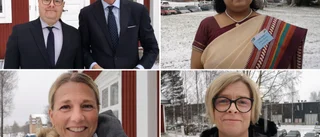 Vill öppna indiska marknaden för norrbottniska företag