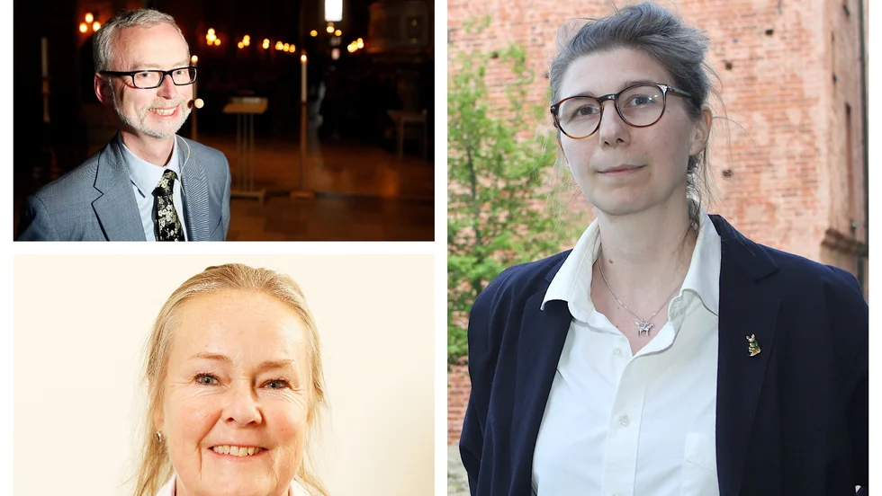 Historikern Dick Harrison ska föreläsa på nationaldagen under jubileumsåret. Monika Eriksson Bertilsson är ordförande i Gustav Vasa-föreningen, som arrangerar nämnda föreläsning. Johanna Nyberg är projektledare på Strängnäs kommun och samordnar firandet under jubileumsåret.