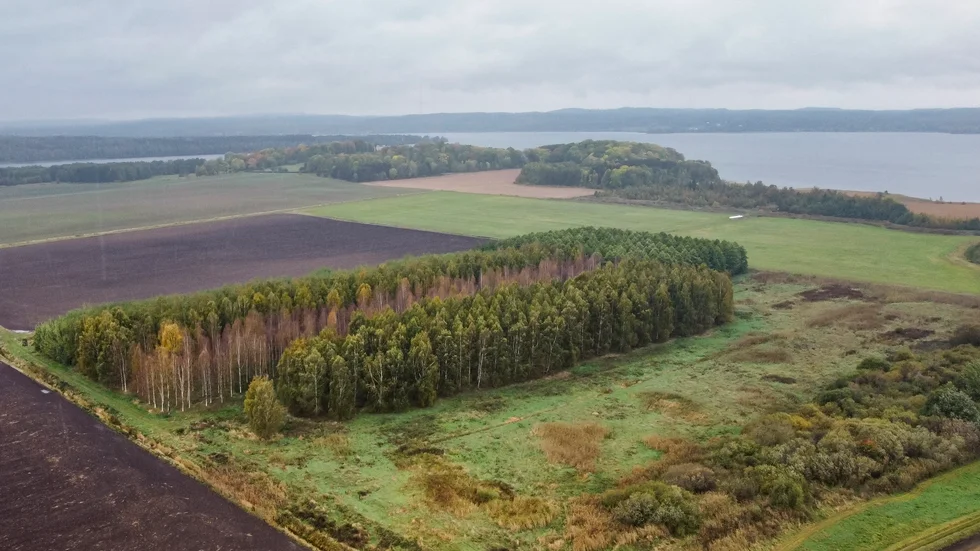 Det aktuella området för solcellsparken i Ulvåsa. För nära både Borenstranden och slottsmiljlön, invänder Motala kommuns plan- och byggenhet. Slottet kan anas som en ljusare punkt på den vänstra udden mot Boren.