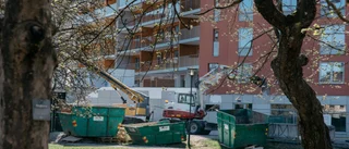 Tillväxten i norr är avgörande för klimatomställningen