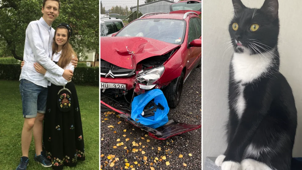 Karl Gustafsson och Elin Doverteg Sörlies ena katt Chanel försvann vid en bilolycka i torsdags eftermiddag. 