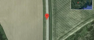 Fallna träd skapar problem i trafiken på väg 53