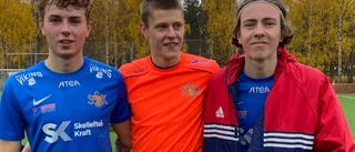 Sunnanå besegrade jumbon Älvsbyn