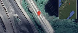 Renar på vägen på E10