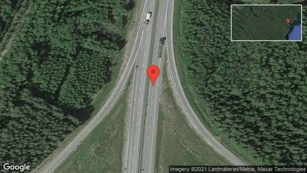 Älg på vägen på E4