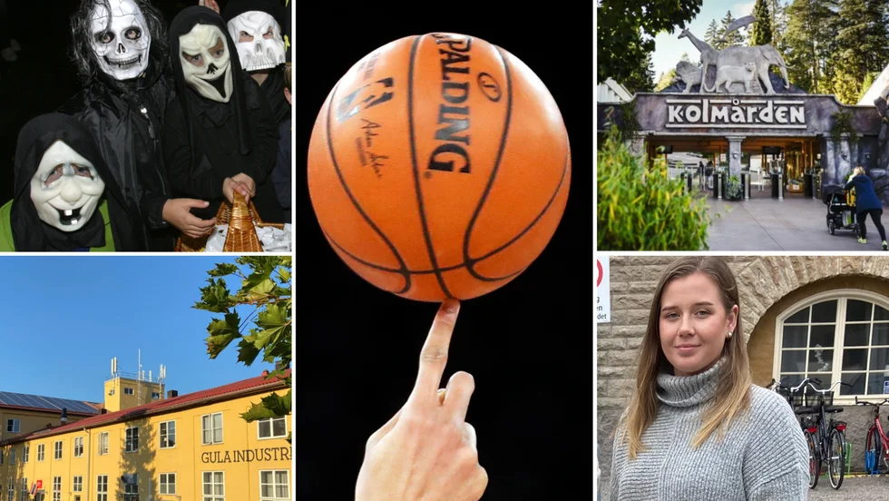 Höstlovet står för dörren i Strängnäs kommun. Fritidsledaren Sandra Wallin, längst ner till höger, är mycket nöjd med årets program som bland annat innehåller spöken, evenemang i Gula industrihuset, bussresa till Kolmården och basketcup i Thomas arena.