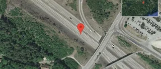 Rådjur på vägen på E20