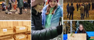 Flera hundra besökte skogen i helgen