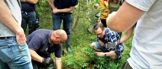 Sökandet efter Sjögrens kropp fortsätter – "det hetaste spåret hittills"