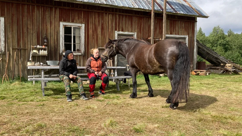 Barnen Anton och Elsa Lindbäck och hästen Mullra.