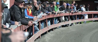 Vilka var på Midsommartravet? • Kolla in vimmelbilderna från travfesten här 